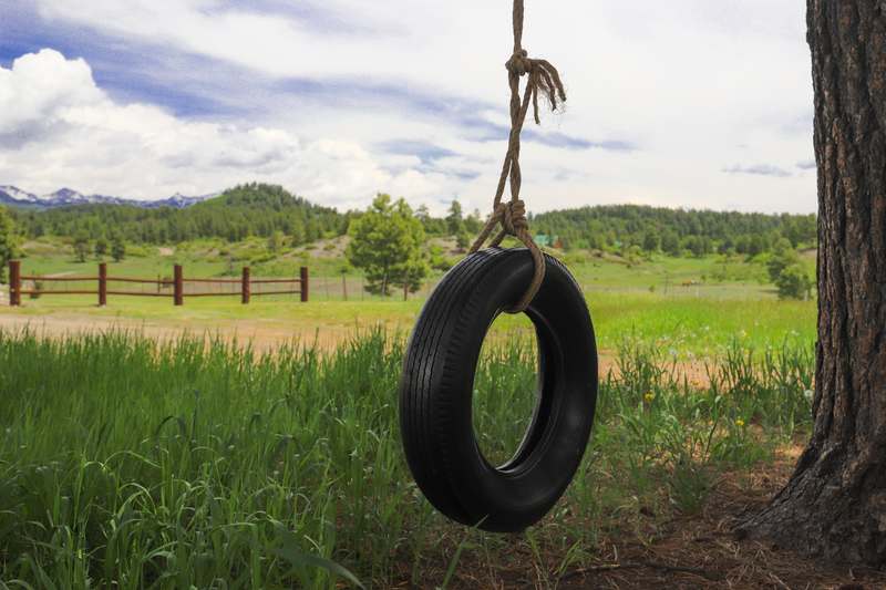 Rope tire swing hanging from a pine with a split-rail fence and snowcapped peaks beyond